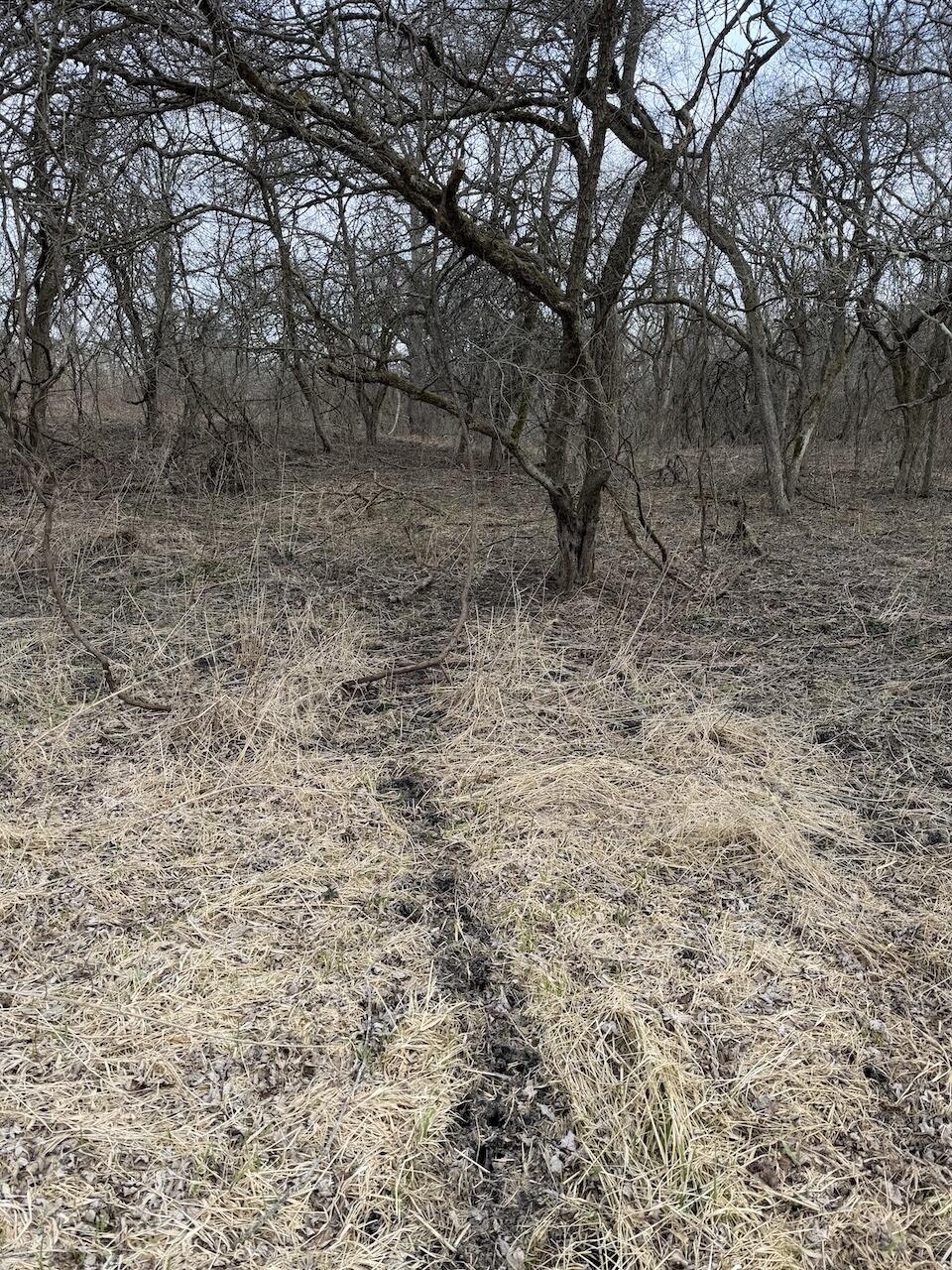 Vl Harper Road Holt, MI 48842 - Photo 4 of 45 IMG_2662