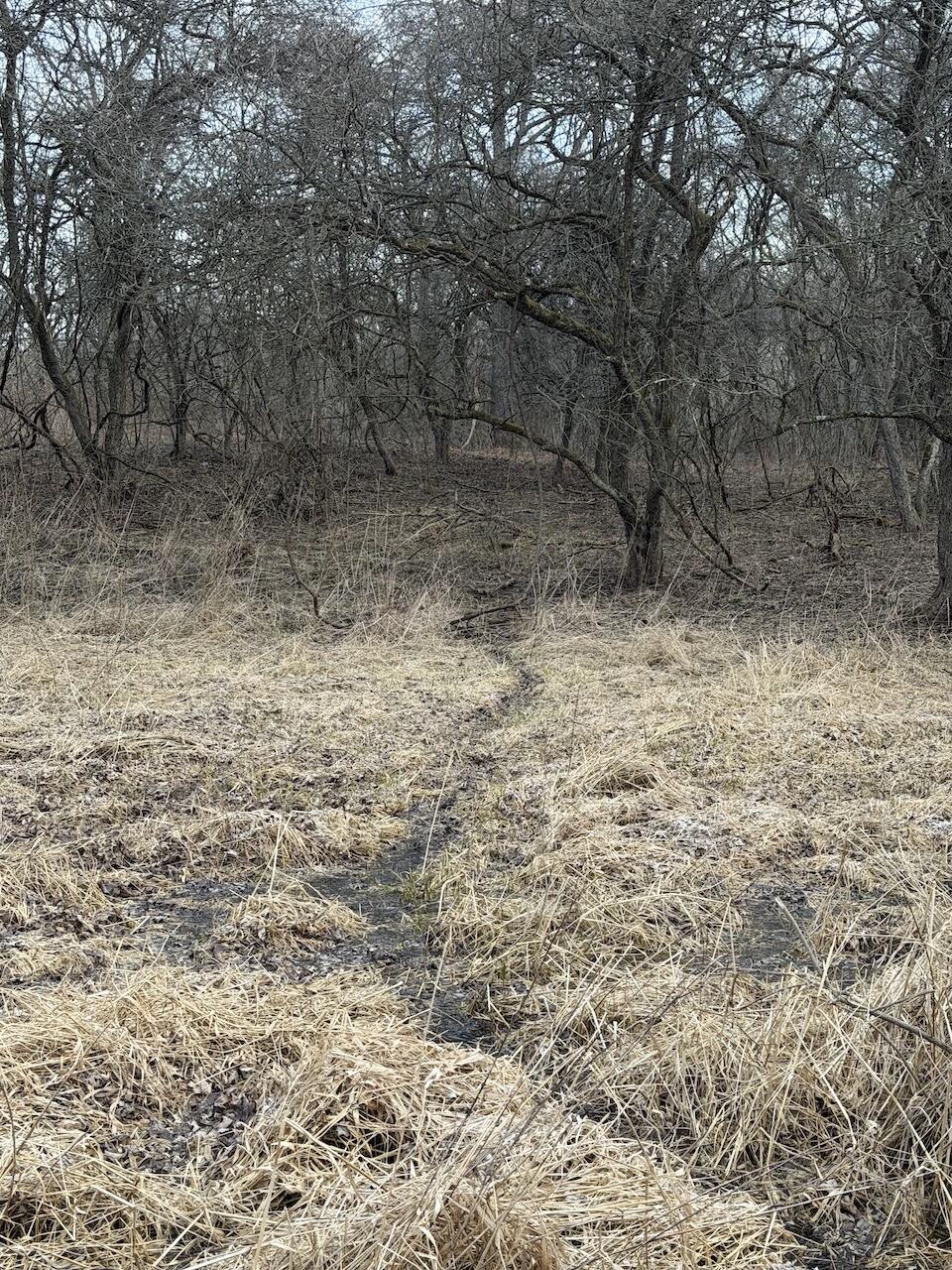 Vl Harper Road Holt, MI 48842 - Photo 5 of 45 IMG_2661