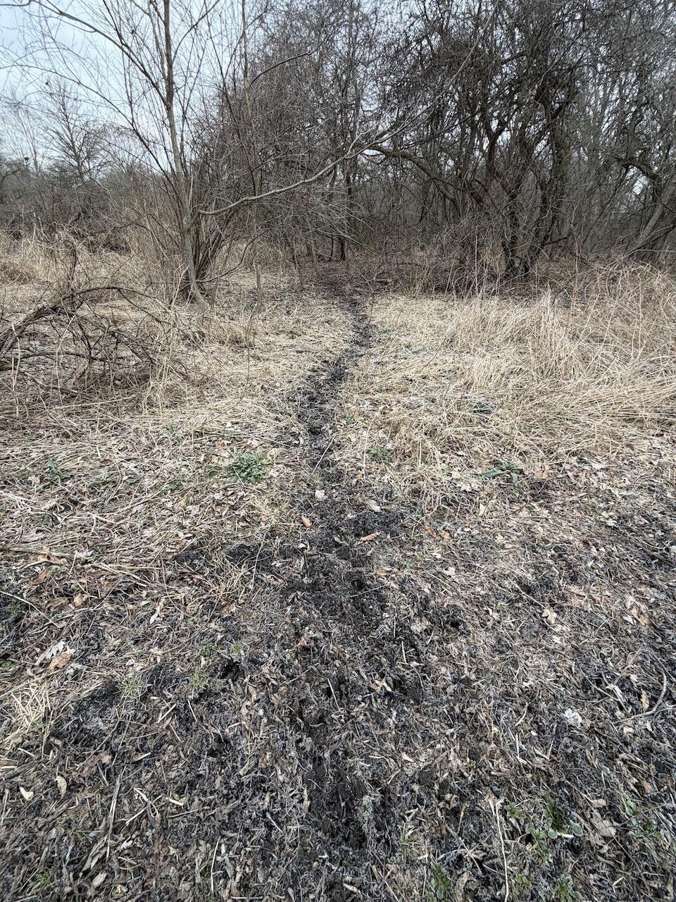 Vl Harper Road Holt, MI 48842 - Photo 6 of 45 IMG_2636