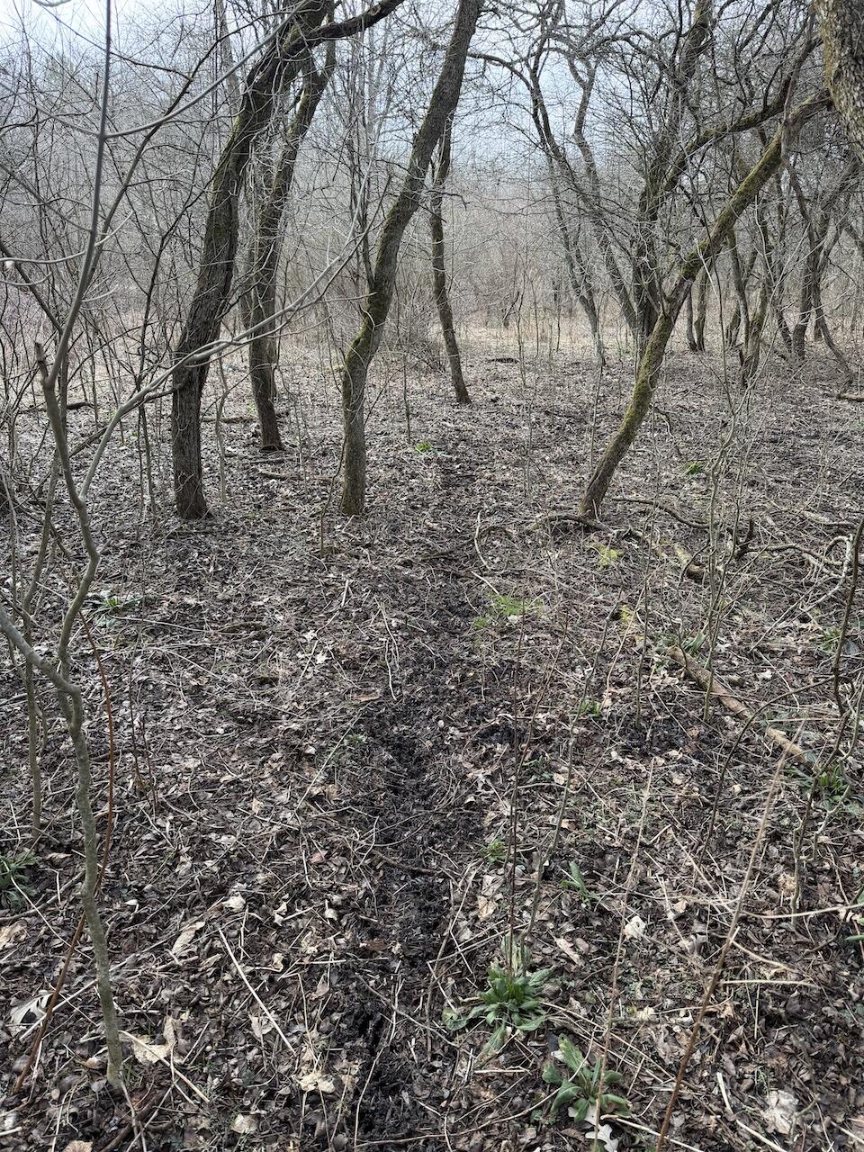 Vl Harper Road Holt, MI 48842 - Photo 8 of 45 IMG_2679