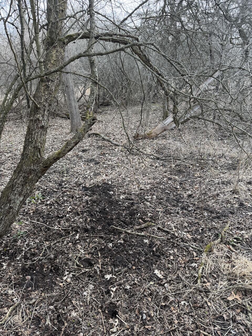 Vl Harper Road Holt, MI 48842 - Photo 9 of 45 IMG_2677