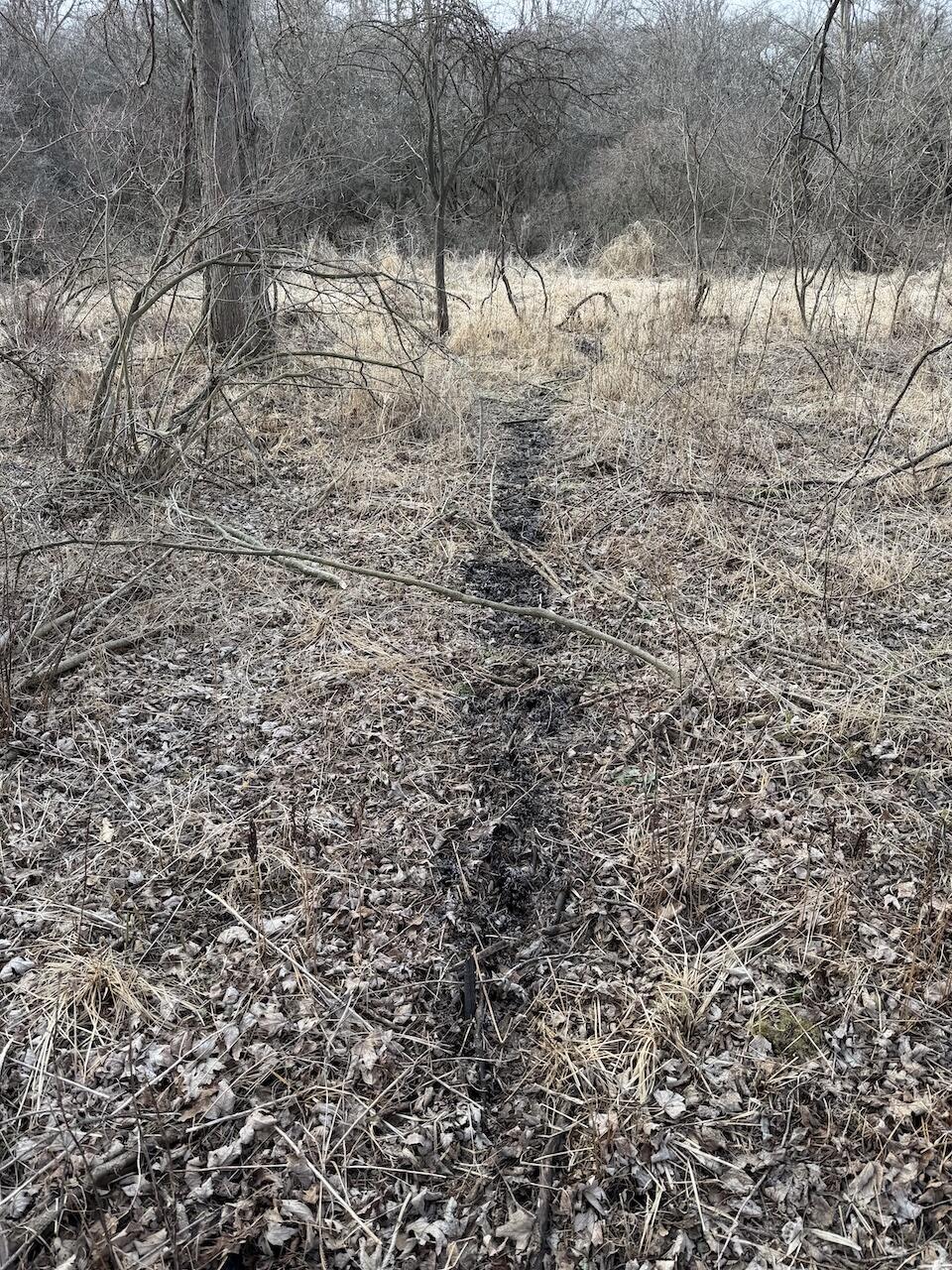 Vl Harper Road Holt, MI 48842 - Photo 10 of 45 IMG_2675