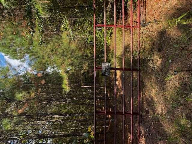 230 Dodgen Road Hampton, GA 30228 - Photo 2 of 8