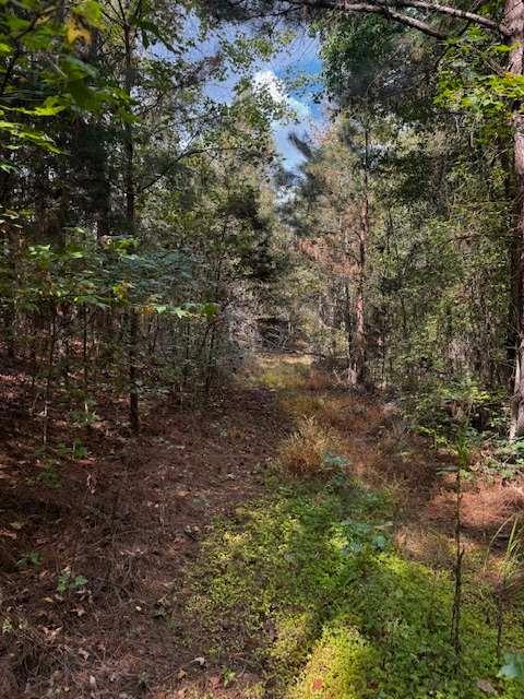 230 Dodgen Road Hampton, GA 30228 - Photo 3 of 8