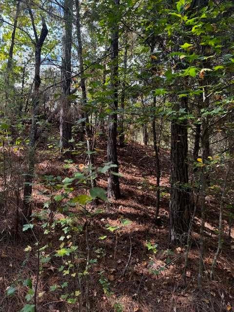 230 Dodgen Road Hampton, GA 30228 - Photo 4 of 8