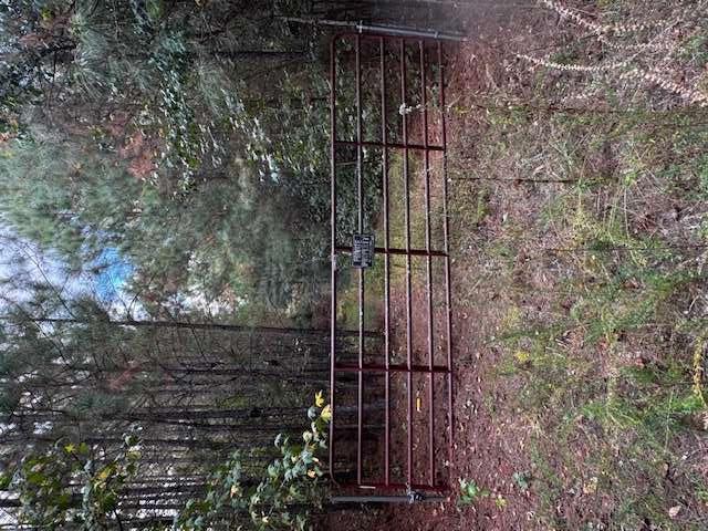 230 Dodgen Road Hampton, GA 30228 - Photo 6 of 8