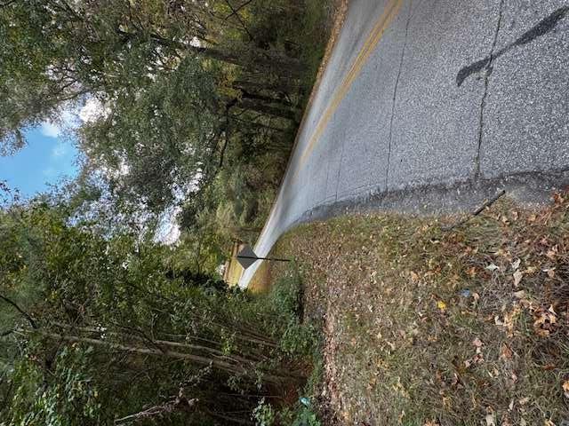 230 Dodgen Road Hampton, GA 30228 - Photo 7 of 8