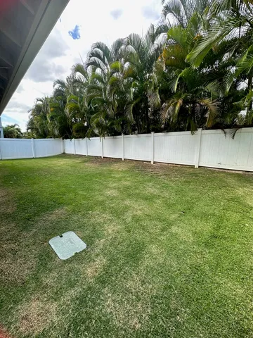 a view of a dry yard