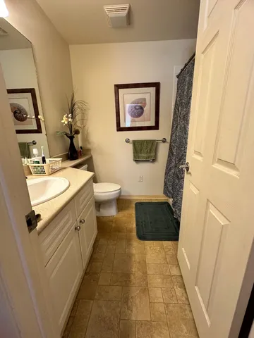 a bathroom with a sink a toilet a mirror and shower curtain