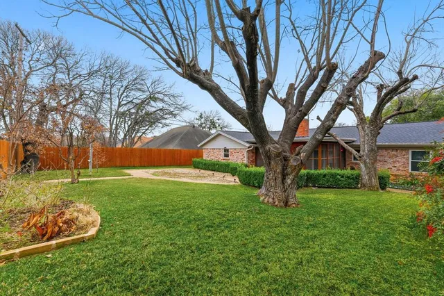 a view of a garden with a tree