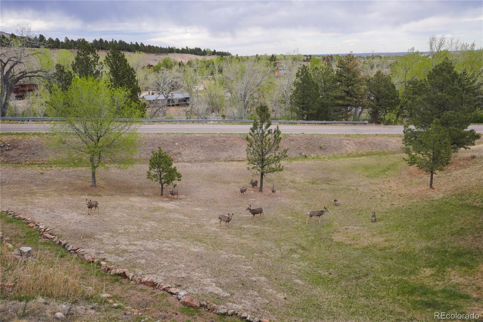 8664 Middle Fork Road Boulder, CO 80302 - Photo 37 of 39 Gallery Image 37