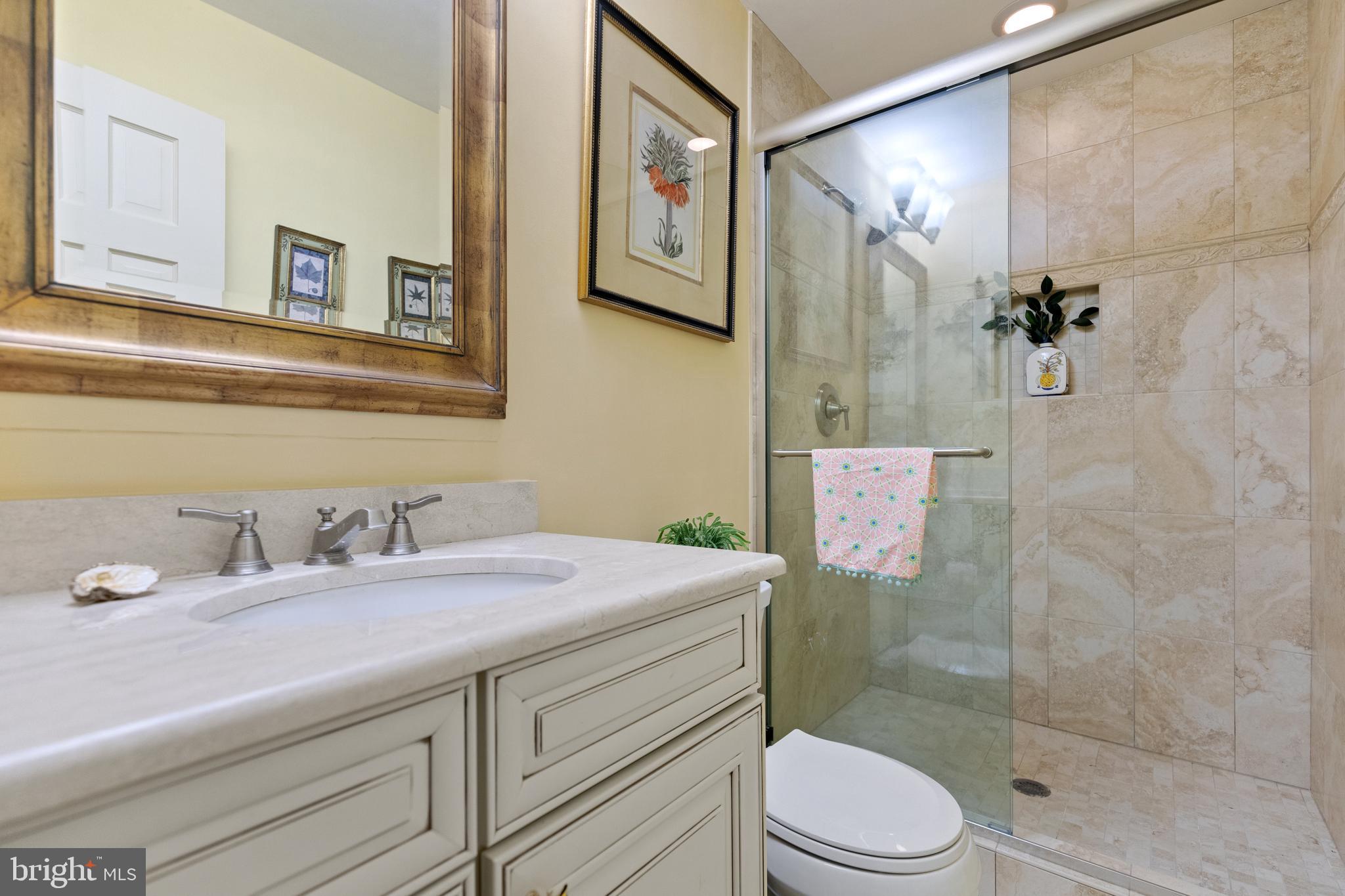 8751 Brook Road McLean, VA 22102 - Photo 32 of 103 a bathroom with a sink a toilet and shower
