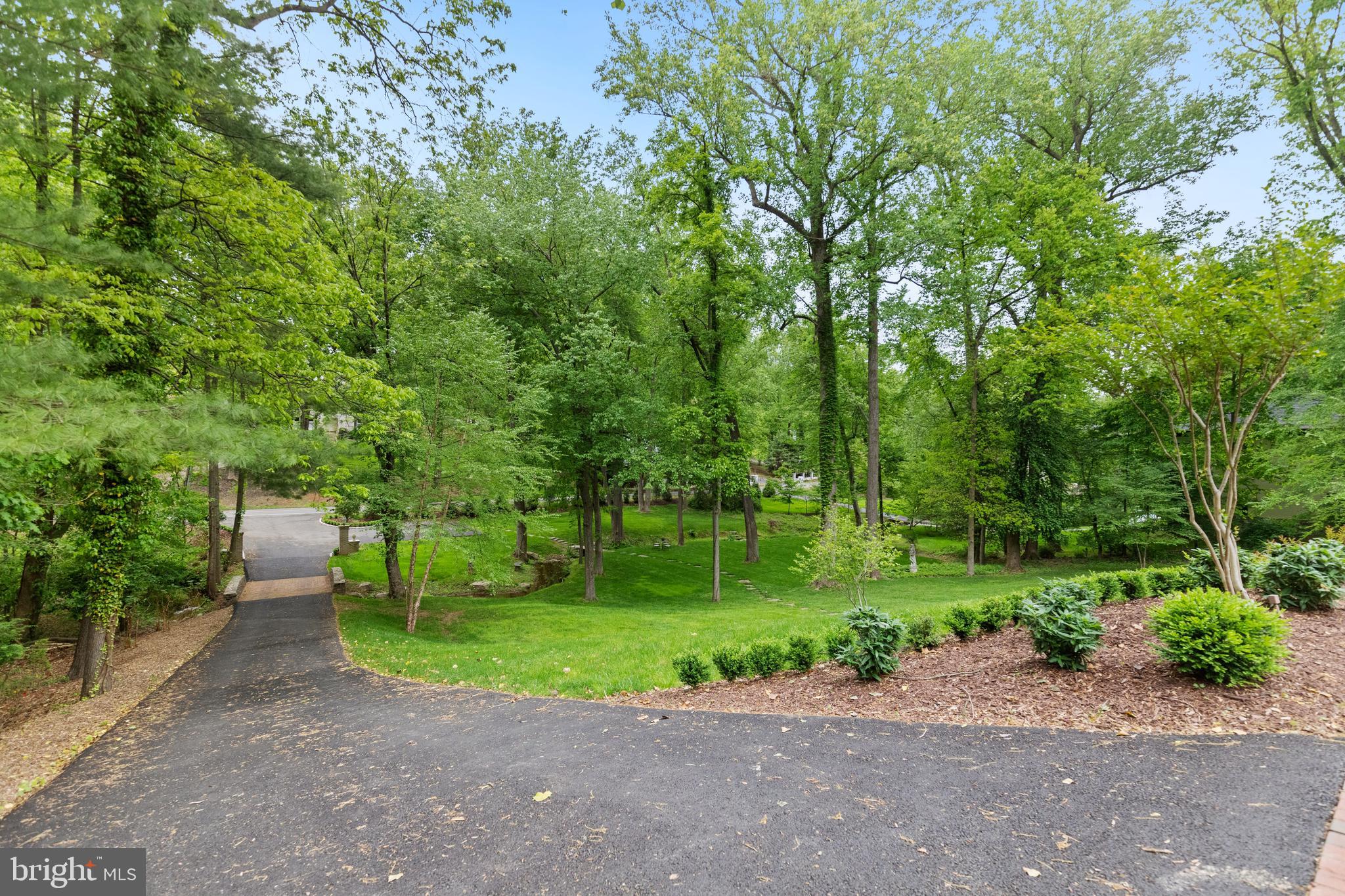 8751 Brook Road McLean, VA 22102 - Photo 58 of 103 a view of a park with plants and trees