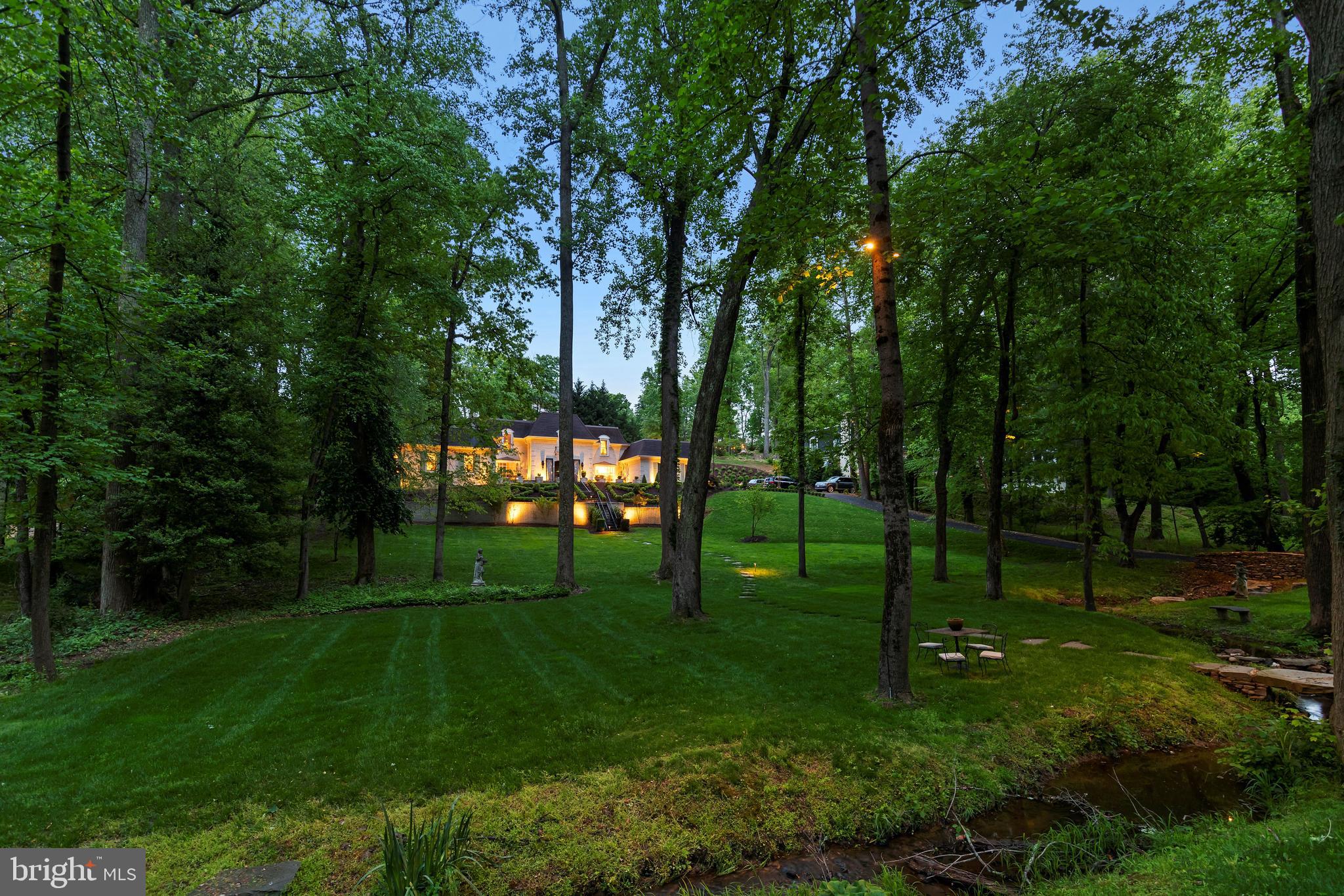 8751 Brook Road McLean, VA 22102 - Photo 96 of 103 a view of a park with trees in the background