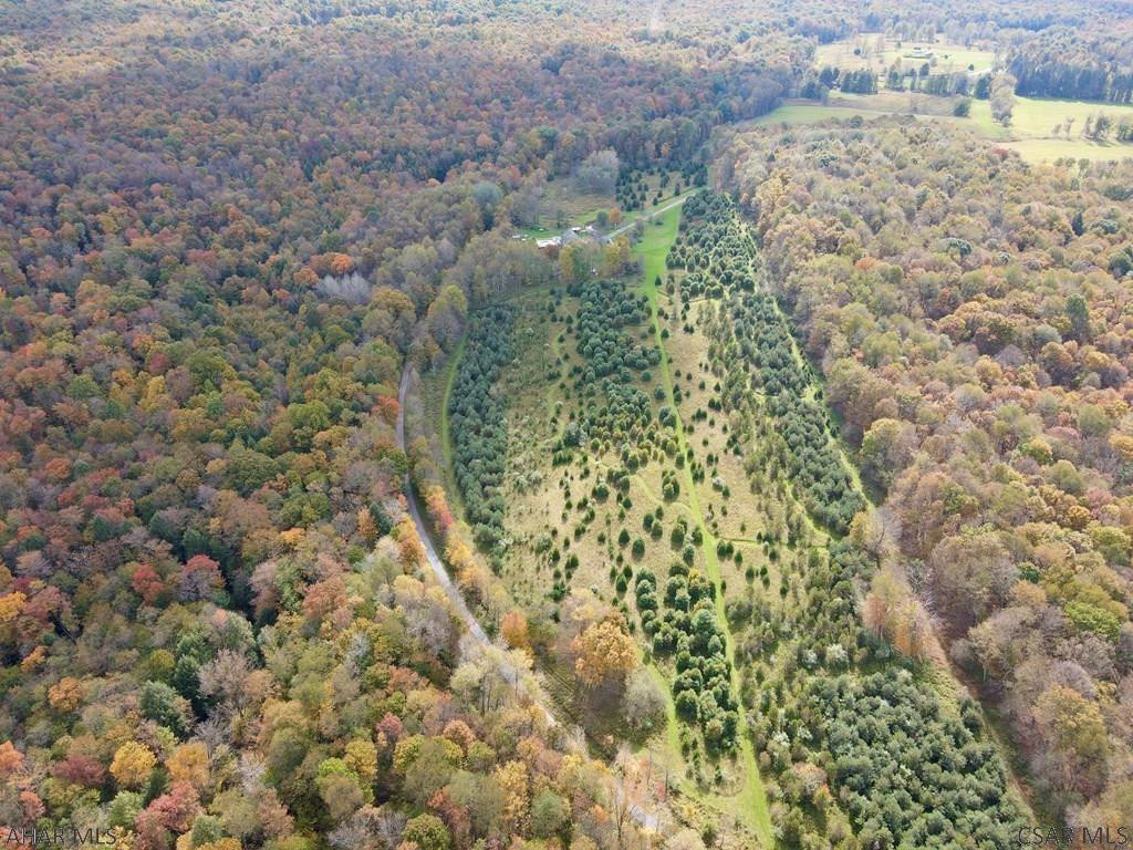 49-acres 49-acres Off Of Snake Road Ebensburg, PA 15931 - Photo 3 of 6