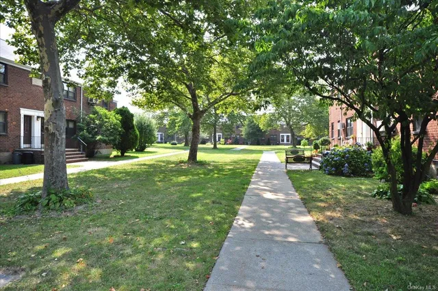a park with large trees