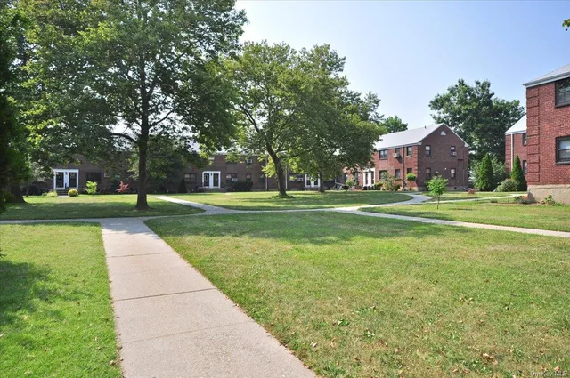 a park with lots of trees
