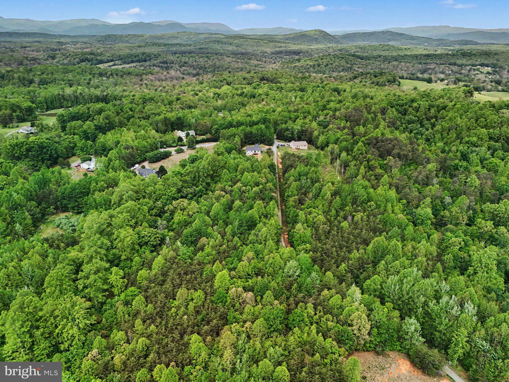 8474 Timothy Lane Rixeyville, VA 22737 - Photo 41 of 49 a view of a lush green forest with trees and some houses