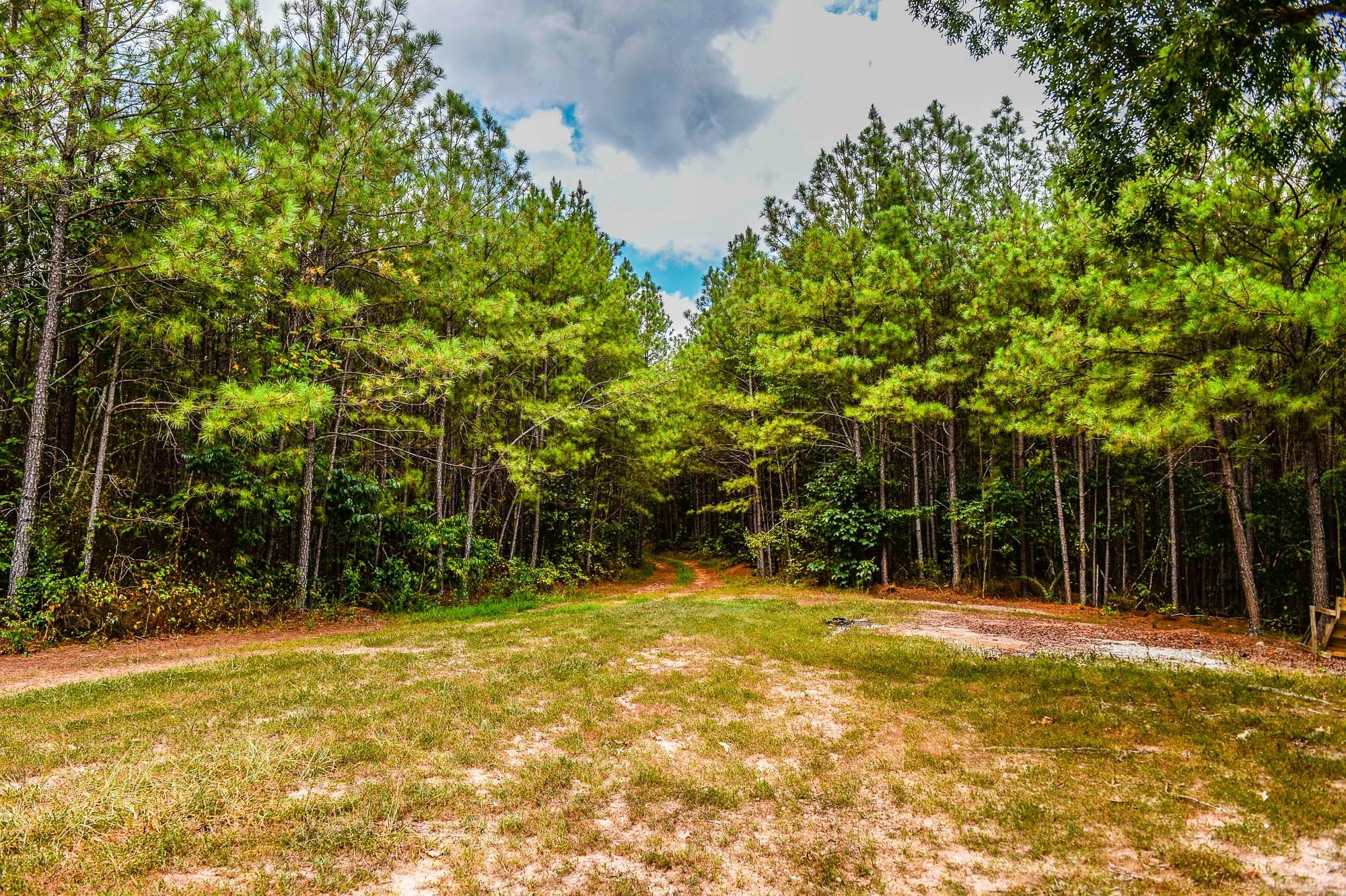 0 Brush Creek Road Linden, TN 37096 - Photo 2 of 22 a view of outdoor space and yard