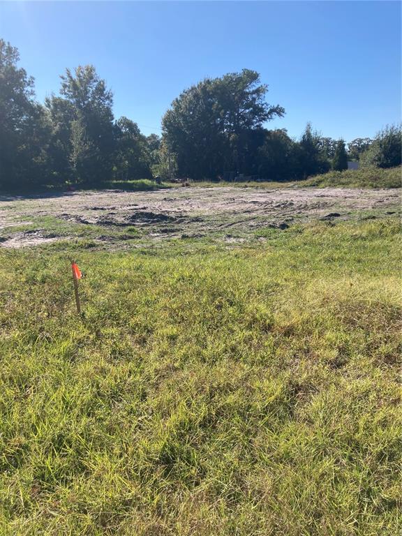 a view of an ocean beach