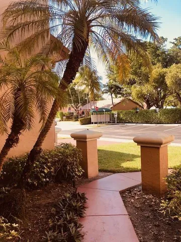a view of a yard with plants and large trees