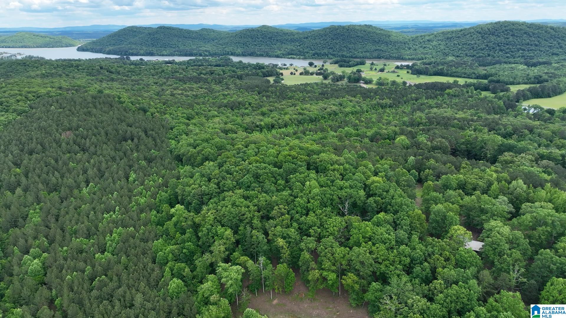 Colvin Springs Road, Unit 6 Ashville, AL 35953 - Photo 4 of 18