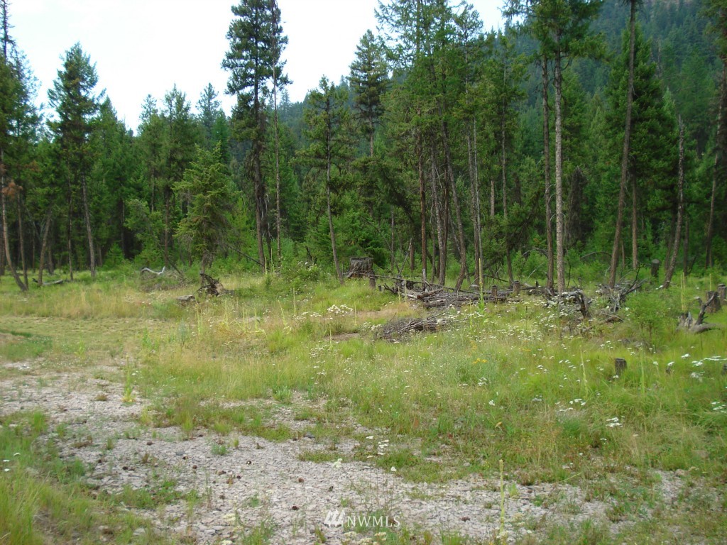 3274 State Rte 20 Republic, WA 99166 - Photo 15 of 20