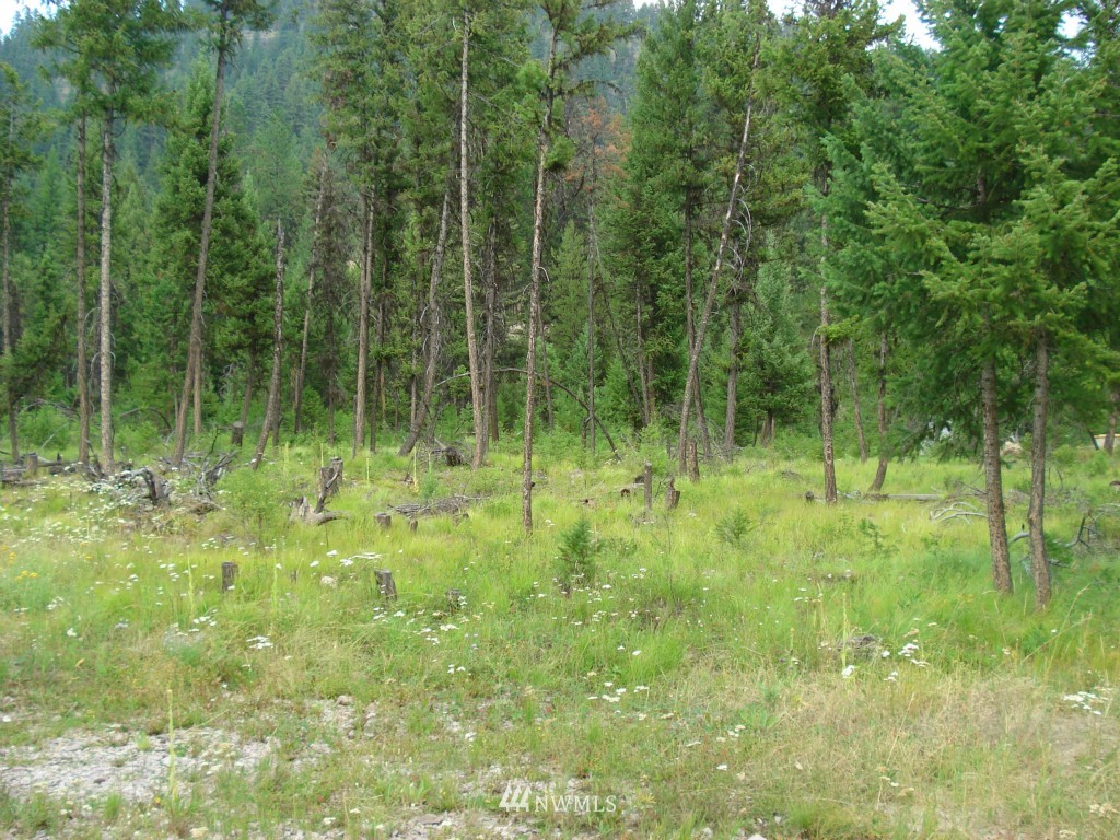 3274 State Rte 20 Republic, WA 99166 - Photo 16 of 20