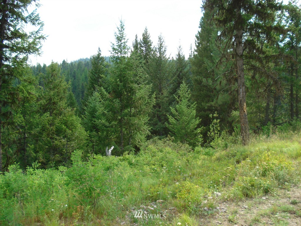 3274 State Rte 20 Republic, WA 99166 - Photo 17 of 20