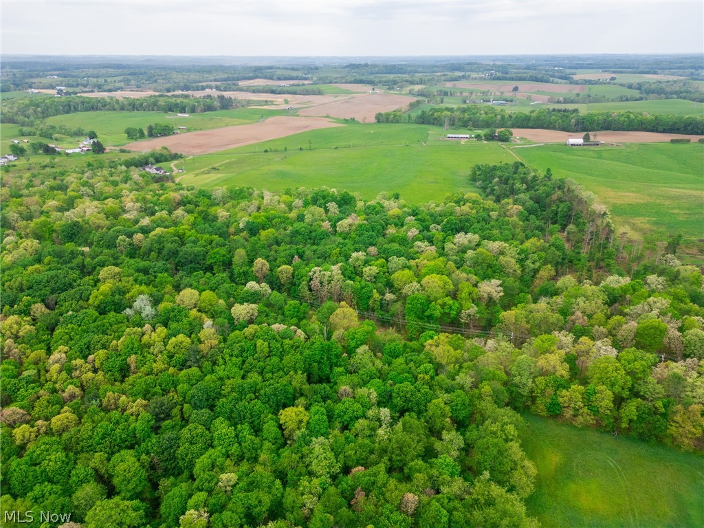 Emerick Road Summitville, OH 43962 - Photo 43 of 47