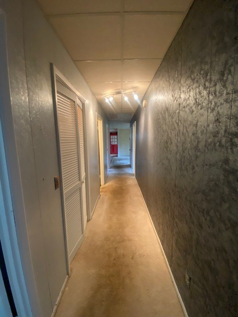 296 Conine Road Lakeland, GA 31635 - Photo 28 of 44 Gallery Image 28