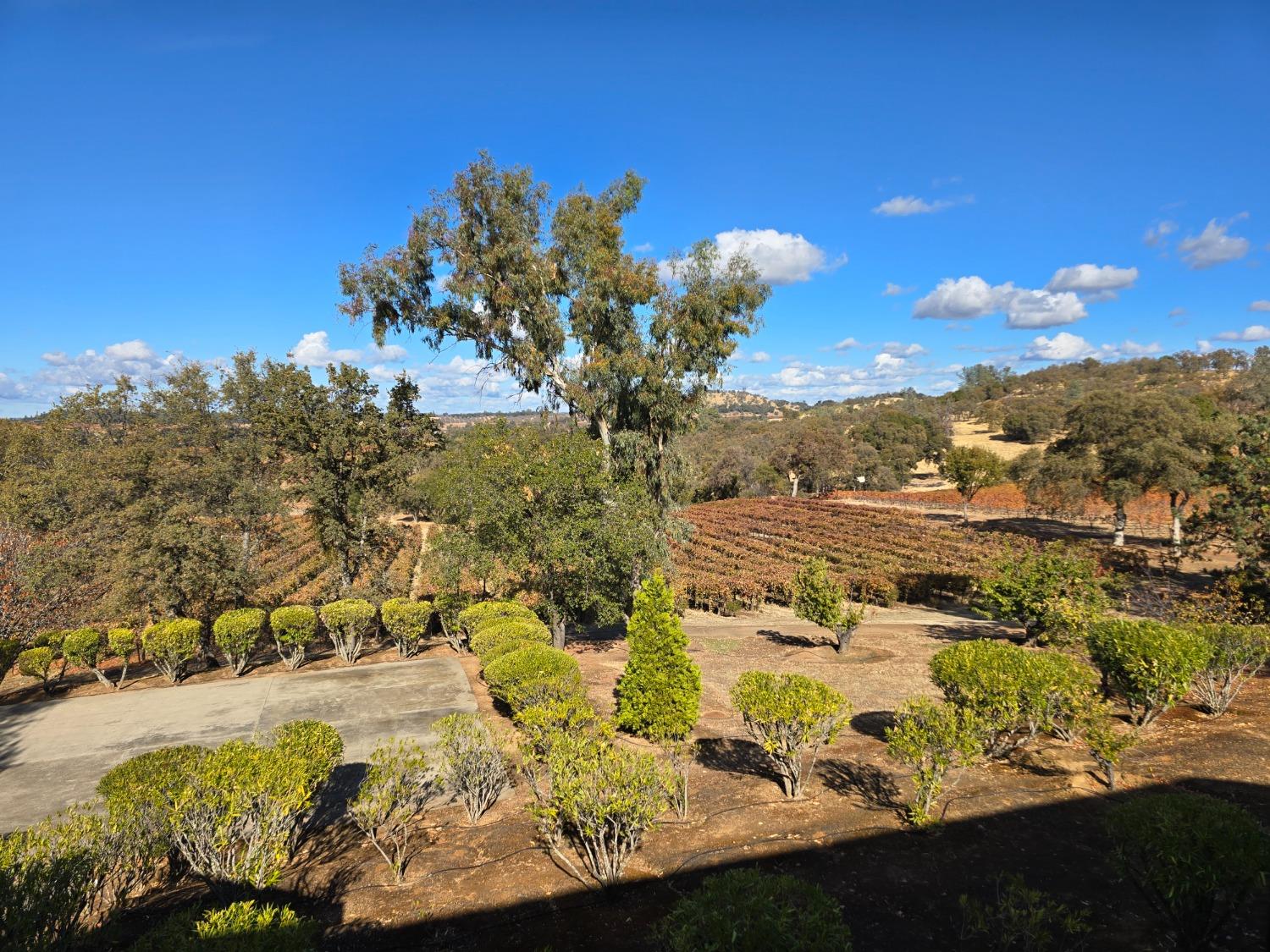 20540 Shenandoah School Road Plymouth, CA 95669 - Photo 12 of 17