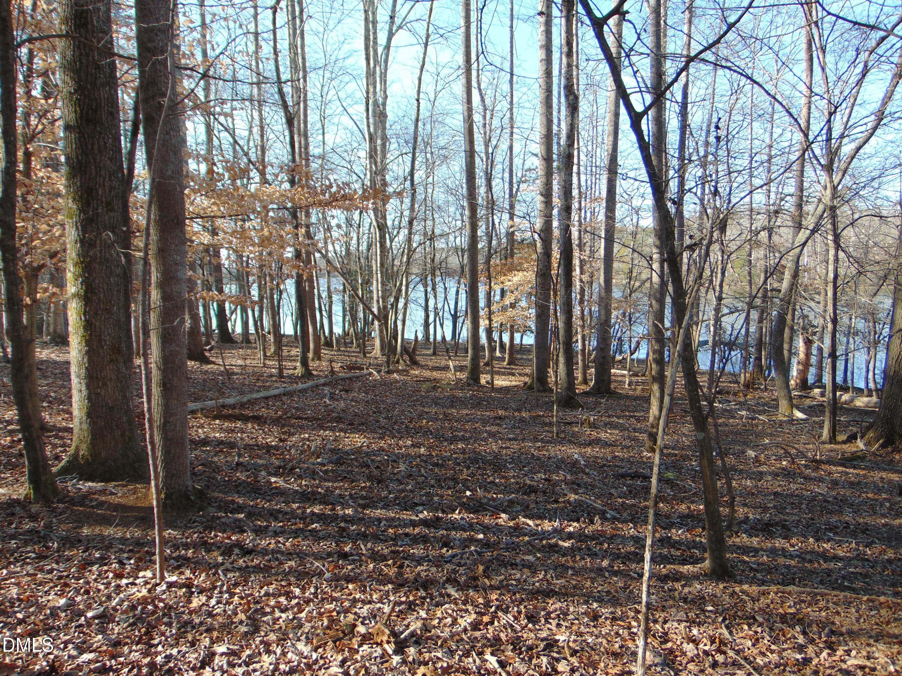 0 Bason Road Mebane, NC 27302 - Photo 34 of 34 DSC01346