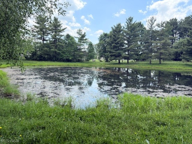 3545 Porter Road Rootstown, OH 44272 - Photo 9 of 47
