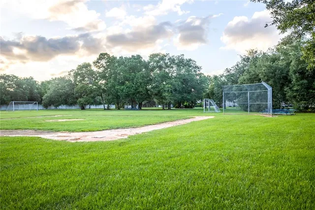 a view of a park with large trees