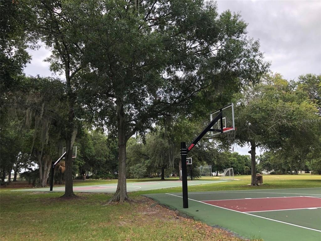 6611 Gates Pointe Way Riverview, FL 33578 - Photo 48 of 55 a view of a basketball court