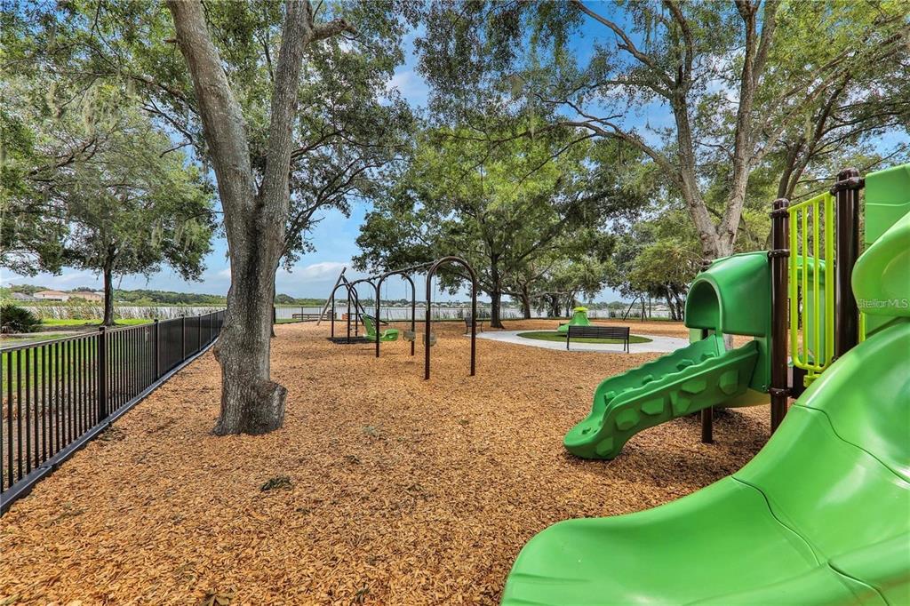 6611 Gates Pointe Way Riverview, FL 33578 - Photo 52 of 55 a view of a park with large trees
