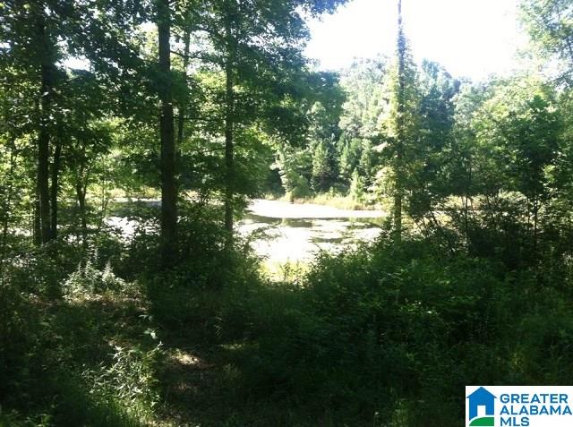 3191 Smith Sims Road, Unit 1 Trussville, AL 35173 - Photo 2 of 6