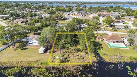 a view of a garden with plants