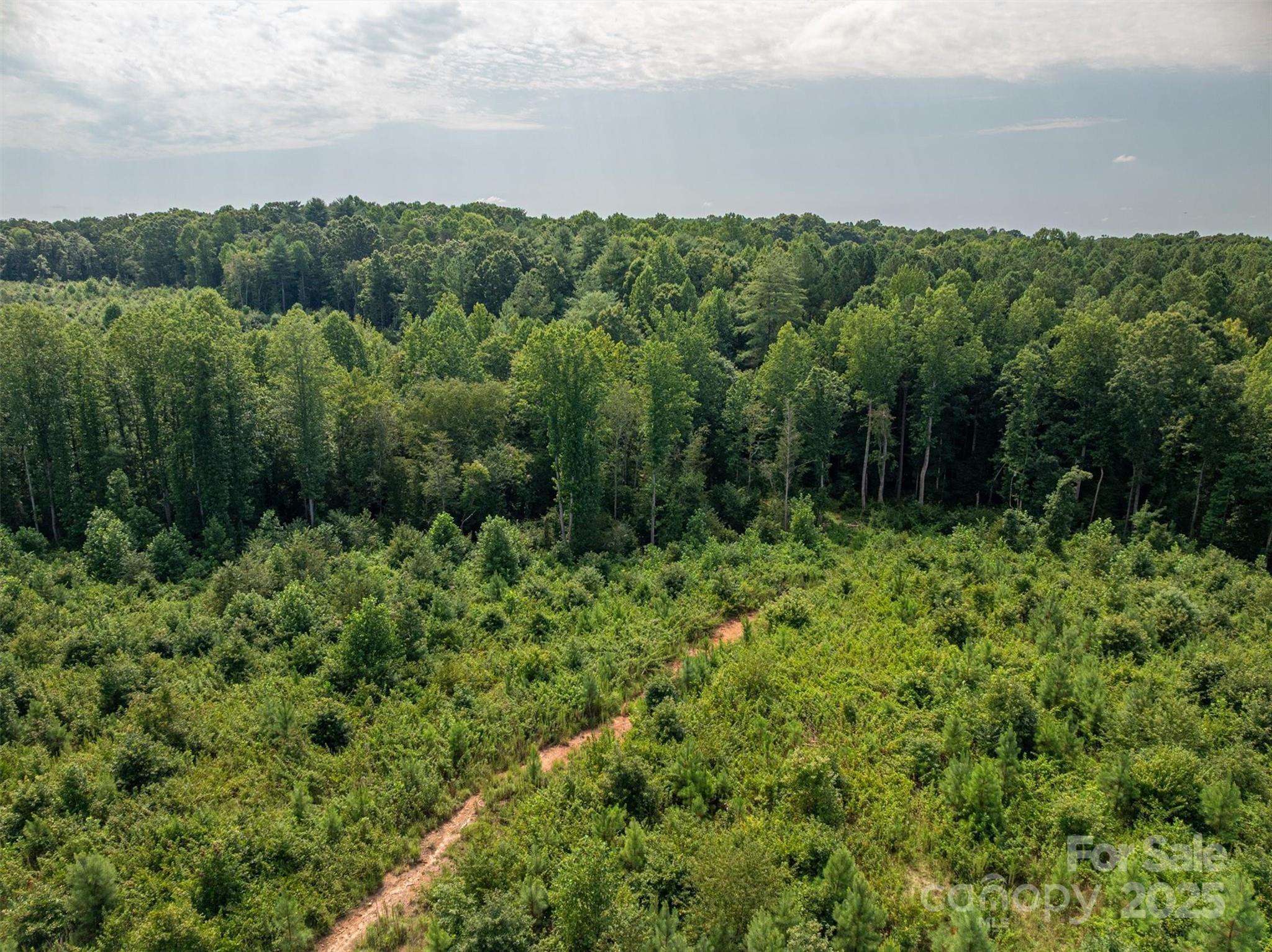 0 Westwinds Road, Unit F3 Lincolnton, NC 28092 - Photo 6 of 13 a view of a lush green forest