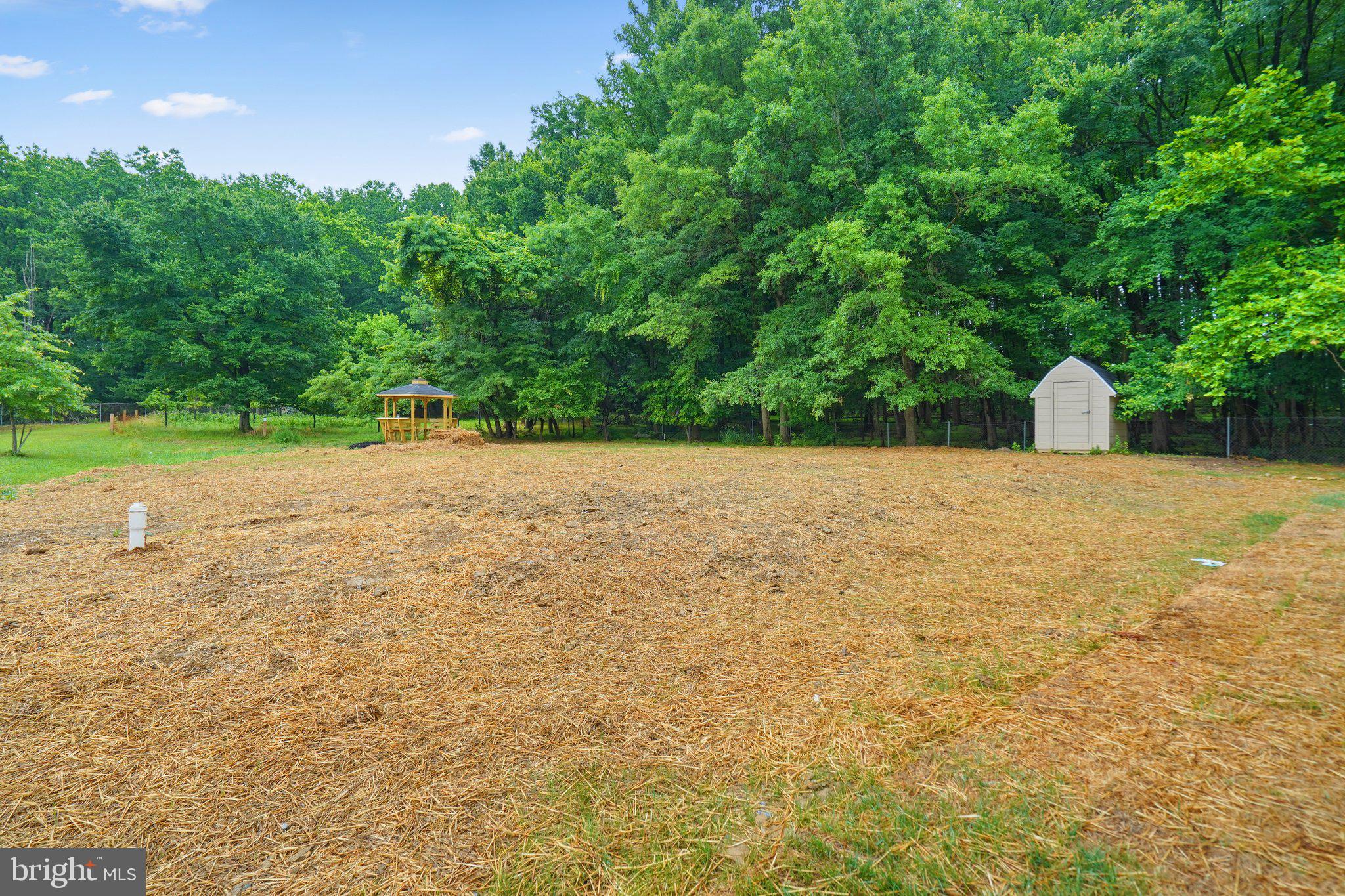 14105 Alderton Road Silver Spring, MD 20906 - Photo 40 of 46 Yard