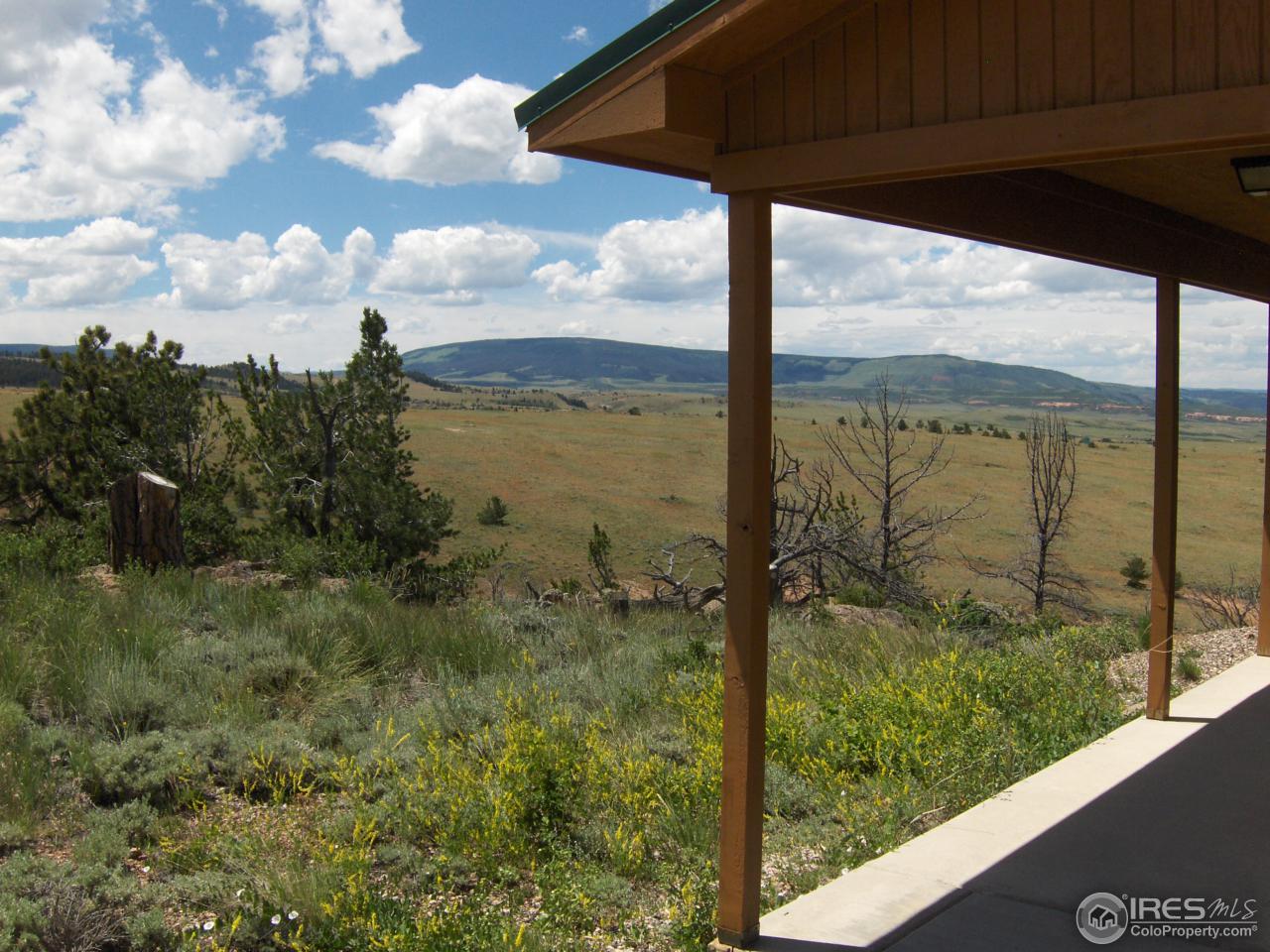 1529 Running Water Ranch Road Livermore, CO 80536 - Photo 8 of 19 Patio