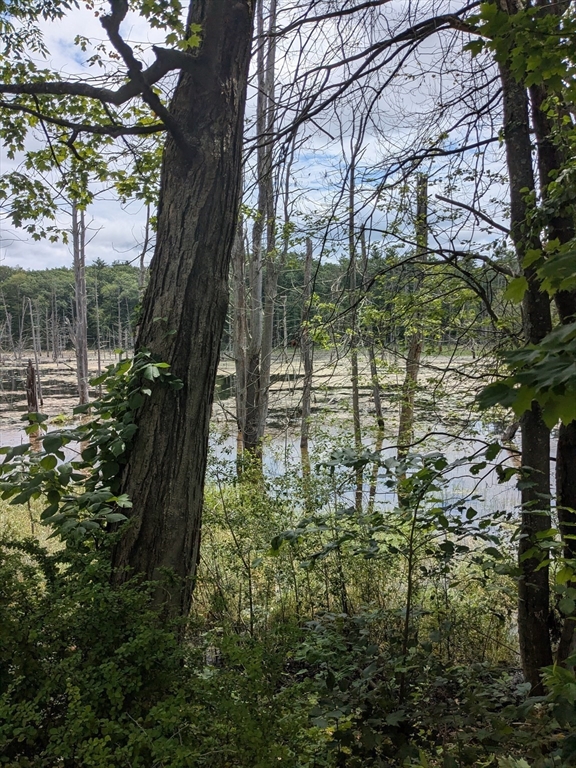 83 Clark Road, Unit 38 Shirley, MA 01464 - Photo 3 of 24 a view of lake