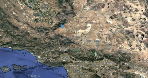 a view of a tree with some trees in the background