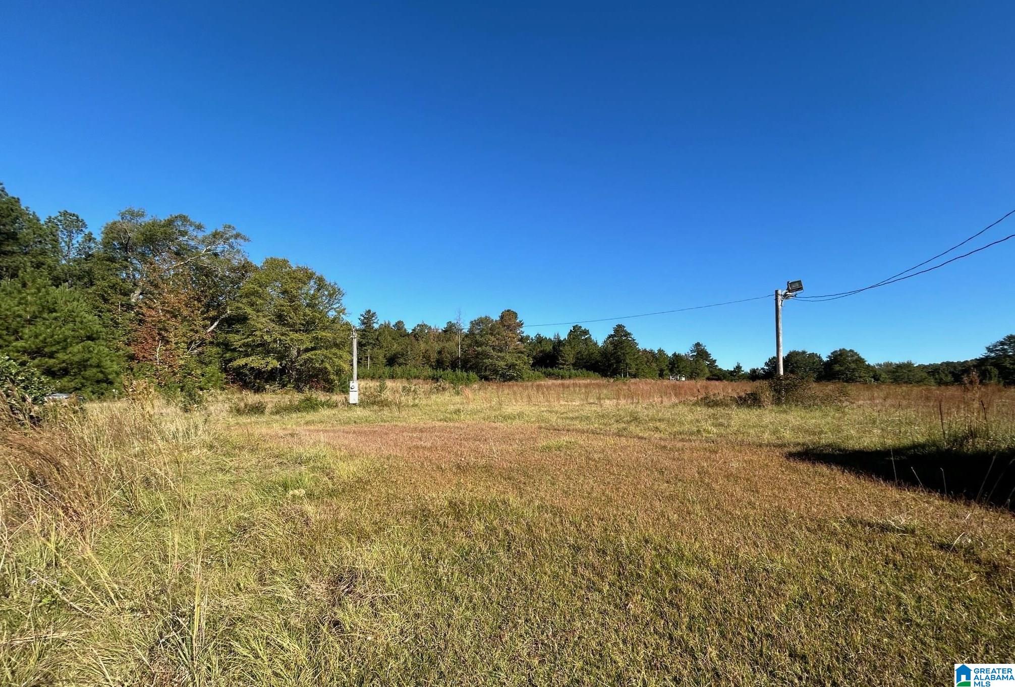 0 Rockyview Road, Unit X West Blocton, AL 35184 - Photo 2 of 11