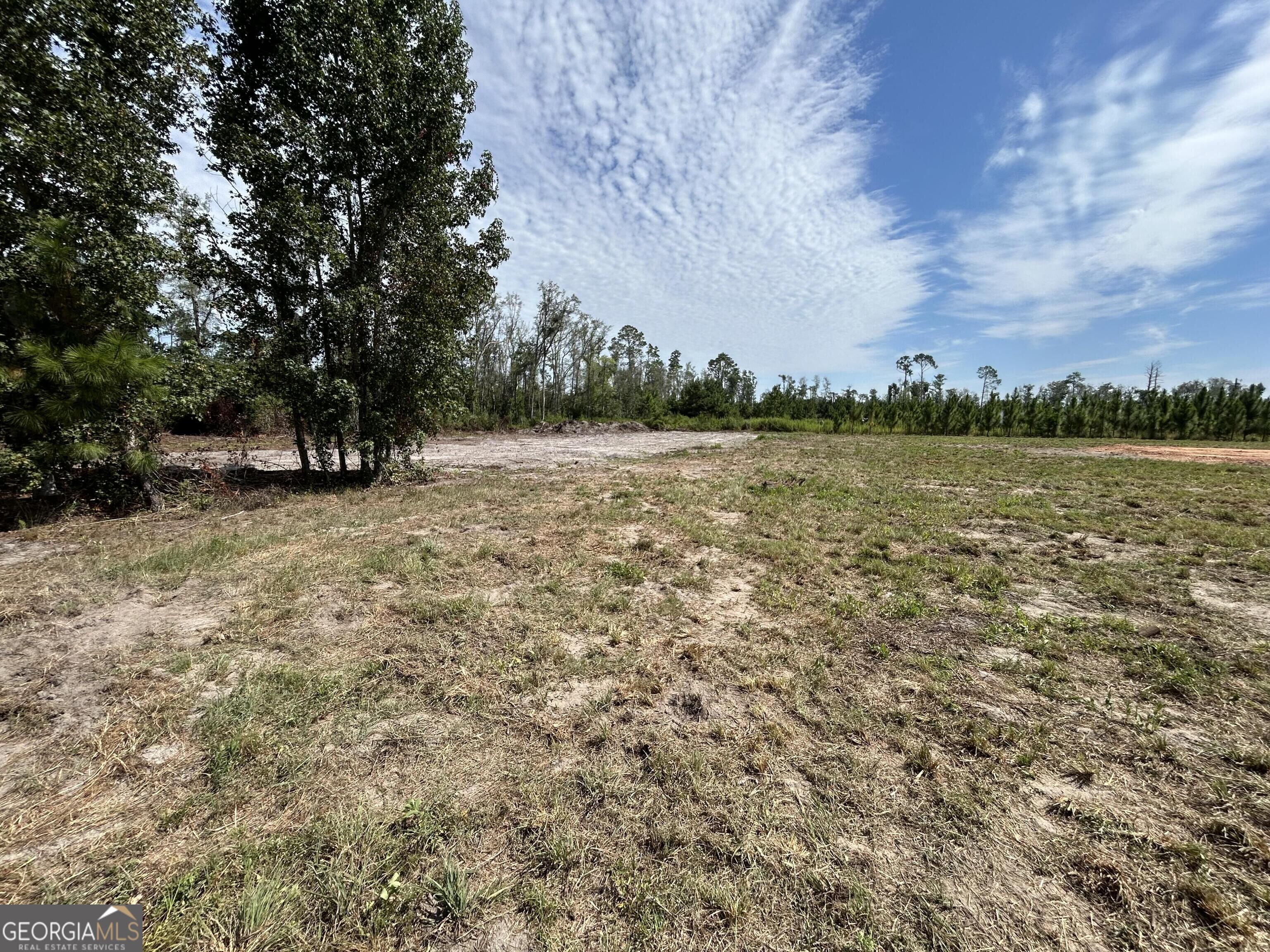 2096 Sellers Road Baxley, GA 31513 - Photo 4 of 21 Gallery Image 4