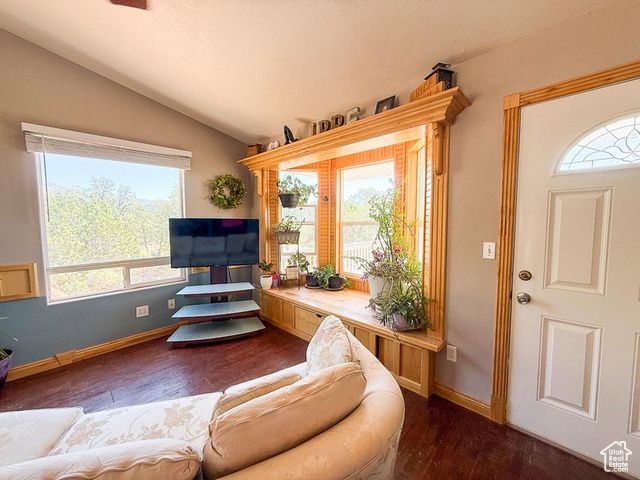 425 East Mule Deer Road Central, UT 84722 - Photo 7 of 72 Living area with vaulted ceiling, dark wood-style floors, and baseboards