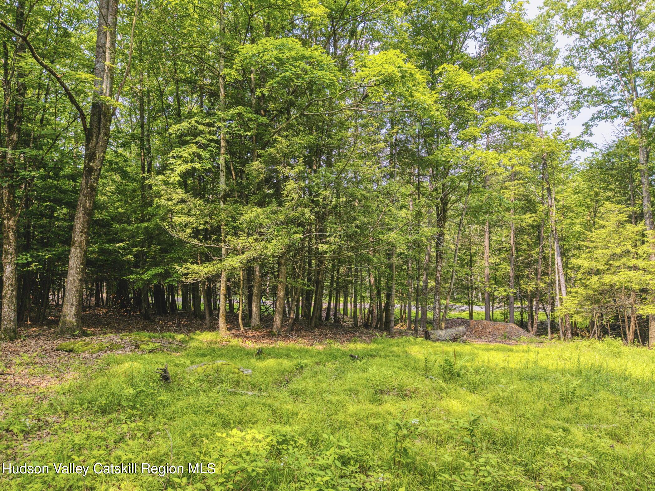 Tbd Boulder Brook Road Windham, NY 12496 - Photo 45 of 57 Image-27