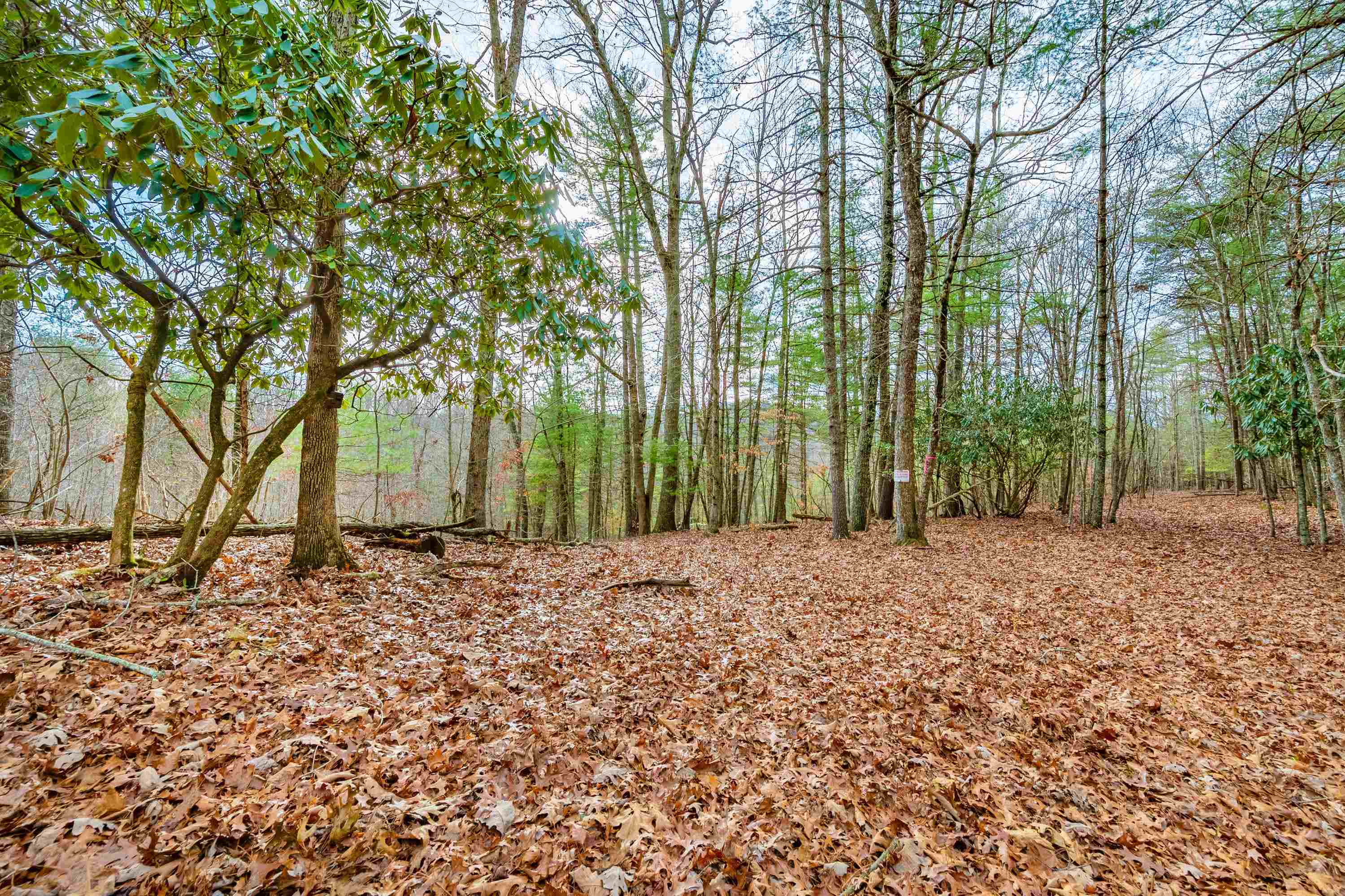 Tbd Spangler Mill Road Northeast Floyd, VA 24091 - Photo 3 of 44 Gallery Image 3