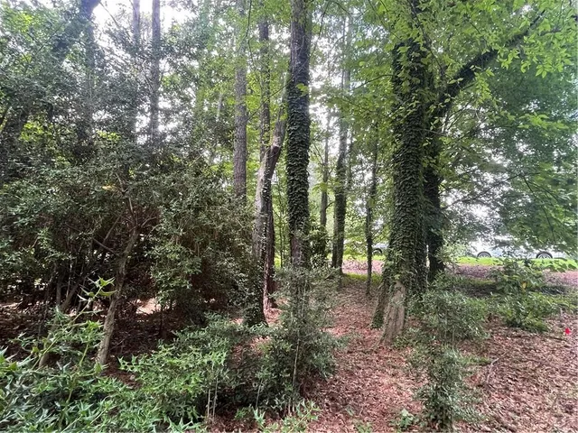 a view of outdoor space and trees